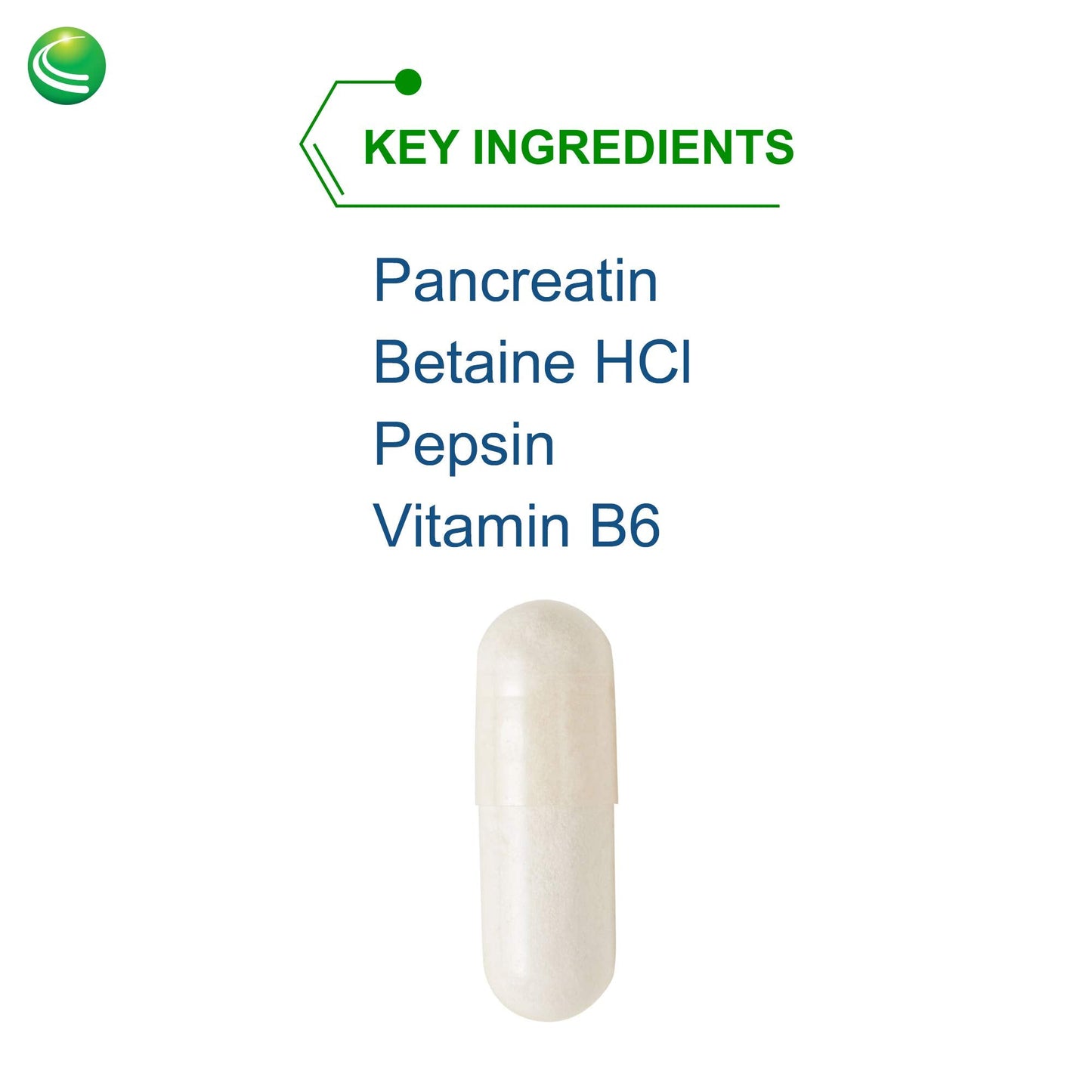 Nutra Biogenesis PanZyme - Betaine HCl with Pancreatin, Lipase & Protease | 180 Capsules