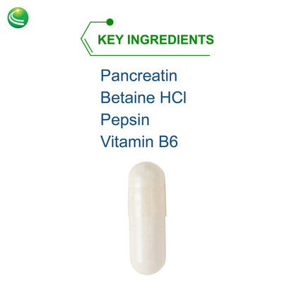 Nutra Biogenesis PanZyme - Betaine HCl with Pancreatin, Lipase & Protease | 180 Capsules