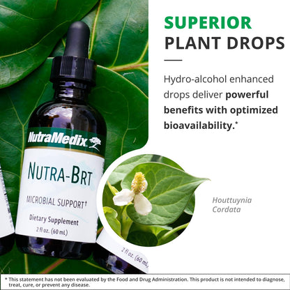 NutraMedix Nutra-BRT Immune Support Liquid - Huacapurana Bark & Houttuynia Leaf (4 oz)