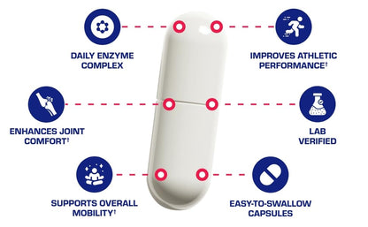 Nutra Disc & Joint Support - Clinically Formulated Cartilage, Ligament & Tendon Supplement with Meriva Curcumin, Glucosamine & Chondroitin - 90 Servings BritishVita | Premium UK Vitamins & Wellness Supplements