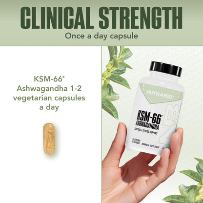 NutraBio Ashwagandha KSM-66 – Ashwagandha Herbal Supplement for Stress, Mood & Performance | 600 mg, 60 Capsules