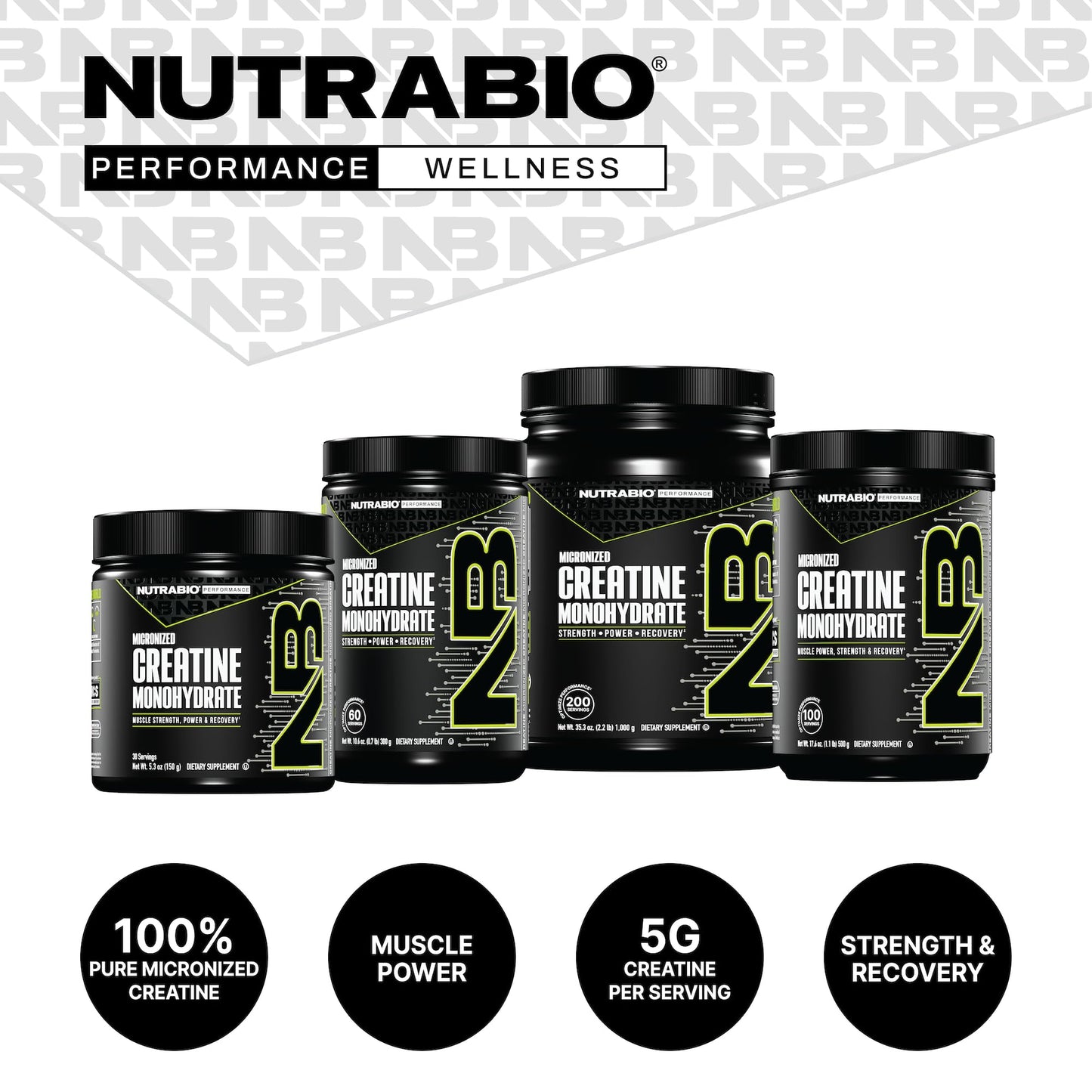NutraBio Pure Micronized Creatine Monohydrate Powder – Unflavored, 500 g