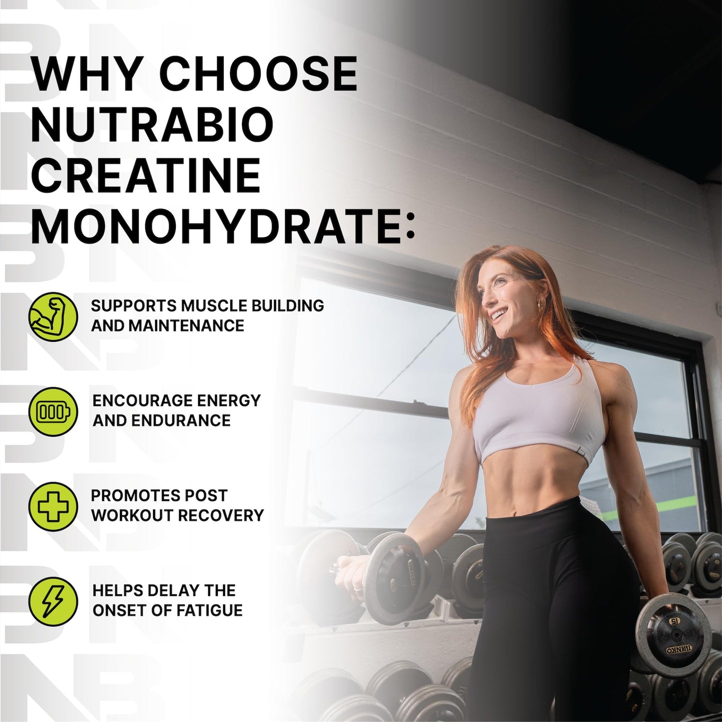 NutraBio Pure Micronized Creatine Monohydrate Powder – Unflavored, 500 g