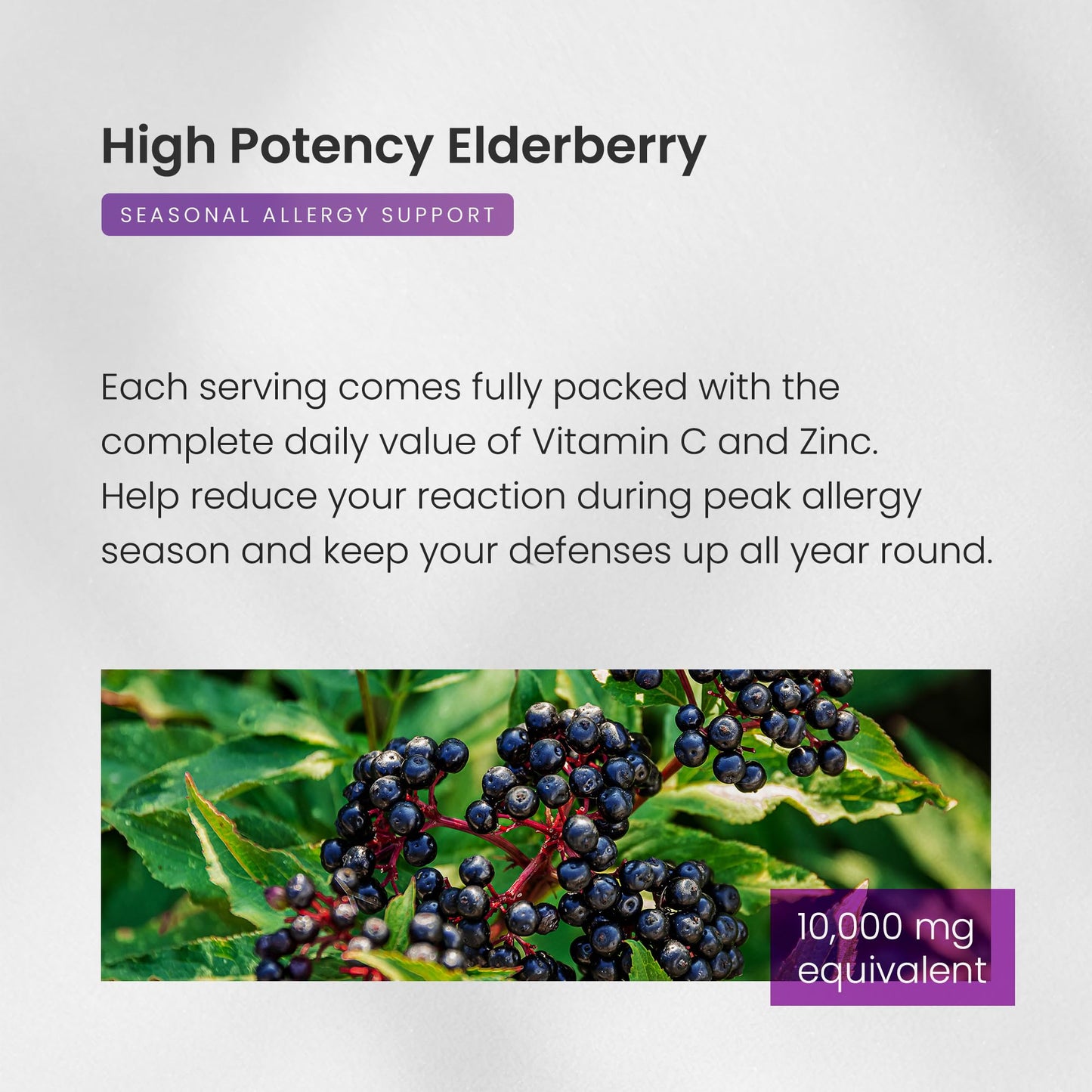 NutraChamps Elderberry 5-in-1 Immunity Supplement - 10,000mg Sambucus Elderberry with Vitamin C, Zinc & Vitamin D3 (Adults)