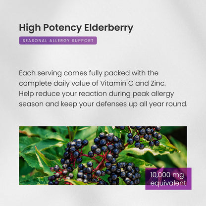 NutraChamps Elderberry 5-in-1 Immunity Supplement - 10,000mg Sambucus Elderberry with Vitamin C, Zinc & Vitamin D3 (Adults)