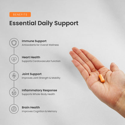 NutraChamps Turmeric Curcumin 1500mg with Black Pepper – 180 Veg Capsules