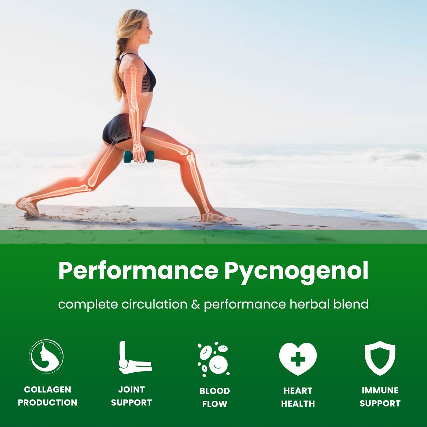 NutraChamps Pycnogenol French Maritime Pine Bark Extract – Premium Circulation & Blood Flow (60 Capsules)