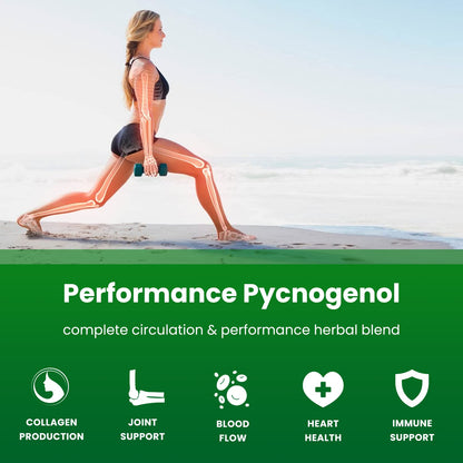 NutraChamps Pycnogenol French Maritime Pine Bark Extract – Premium Circulation & Blood Flow (60 Capsules)