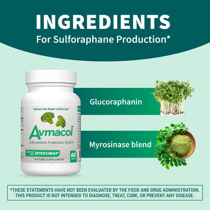 Nutramax Avmacol #1 Researched Sulforaphane Brand | 60 Tablets