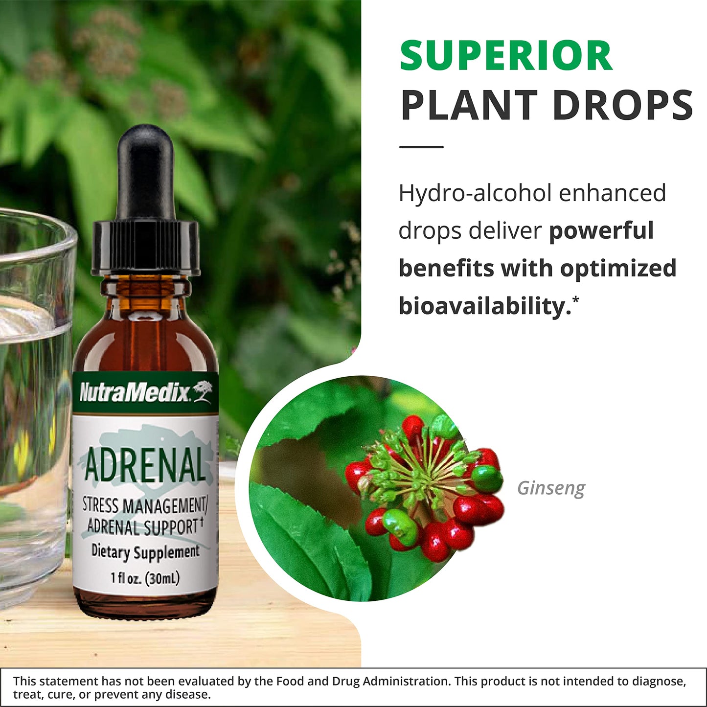 NutraMedix Adrenal Fatigue Supplement – Astragalus, Rhodiola, Schisandra & Ginseng (Vegan, 1oz)