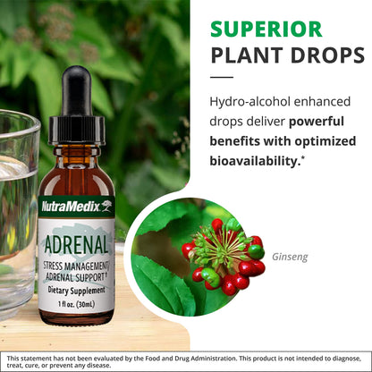 NutraMedix Adrenal Fatigue Supplement – Astragalus, Rhodiola, Schisandra & Ginseng (Vegan, 1oz)