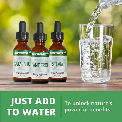NutraMedix Adrenal Fatigue Supplement – Astragalus, Rhodiola, Schisandra & Ginseng (Vegan, 1oz)