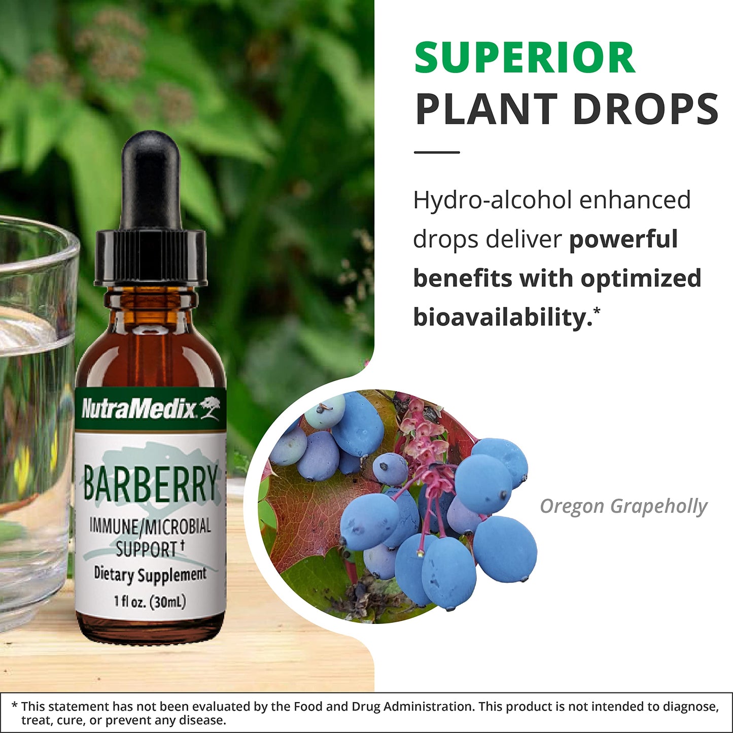 NutraMedix Barberry Immune Support & Antioxidants - Liquid Oregon Grape Root Extract (1oz/30ml)