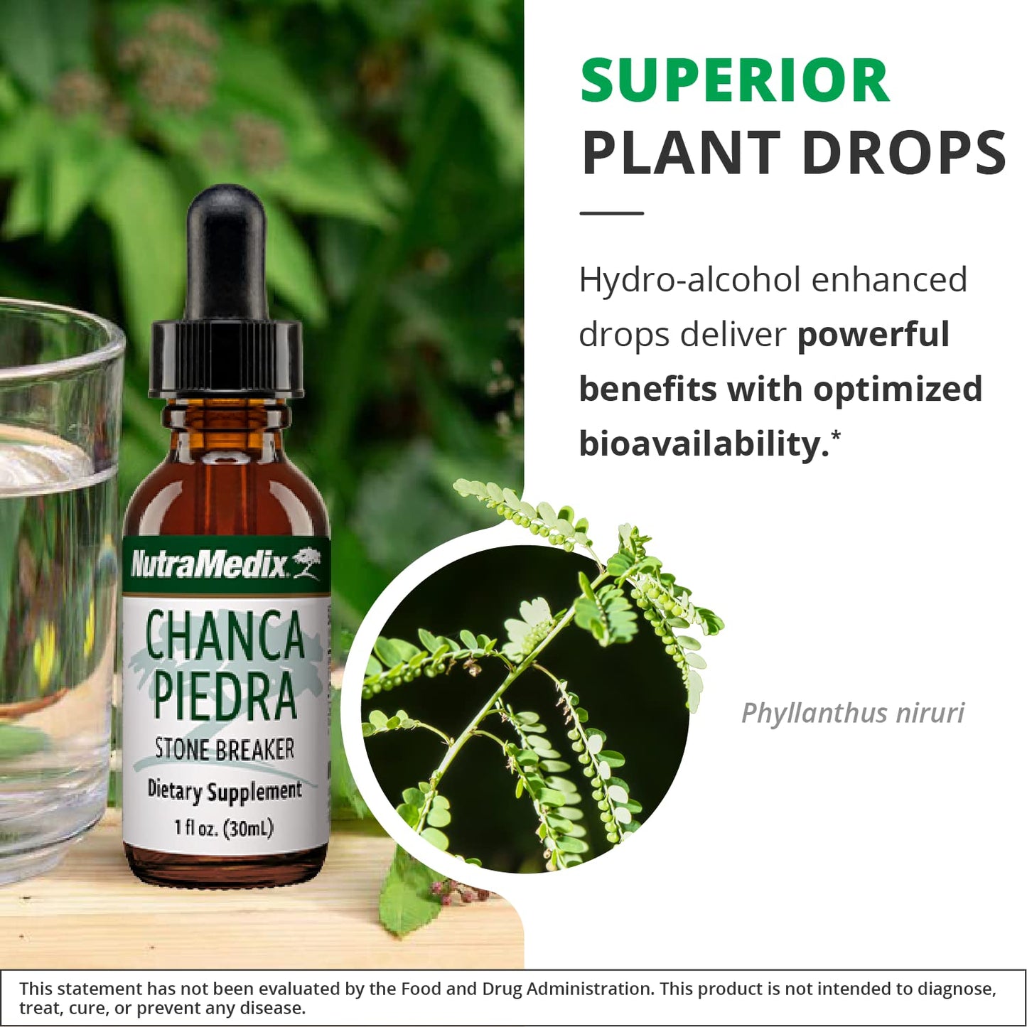 NutraMedix Chanca Piedra Drops – Kidney & Liver Health (1oz/30ml) Pack of 2