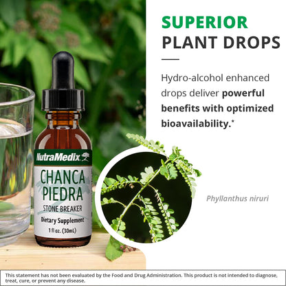 NutraMedix Chanca Piedra Drops – Kidney & Liver Health (1oz/30ml) Pack of 2