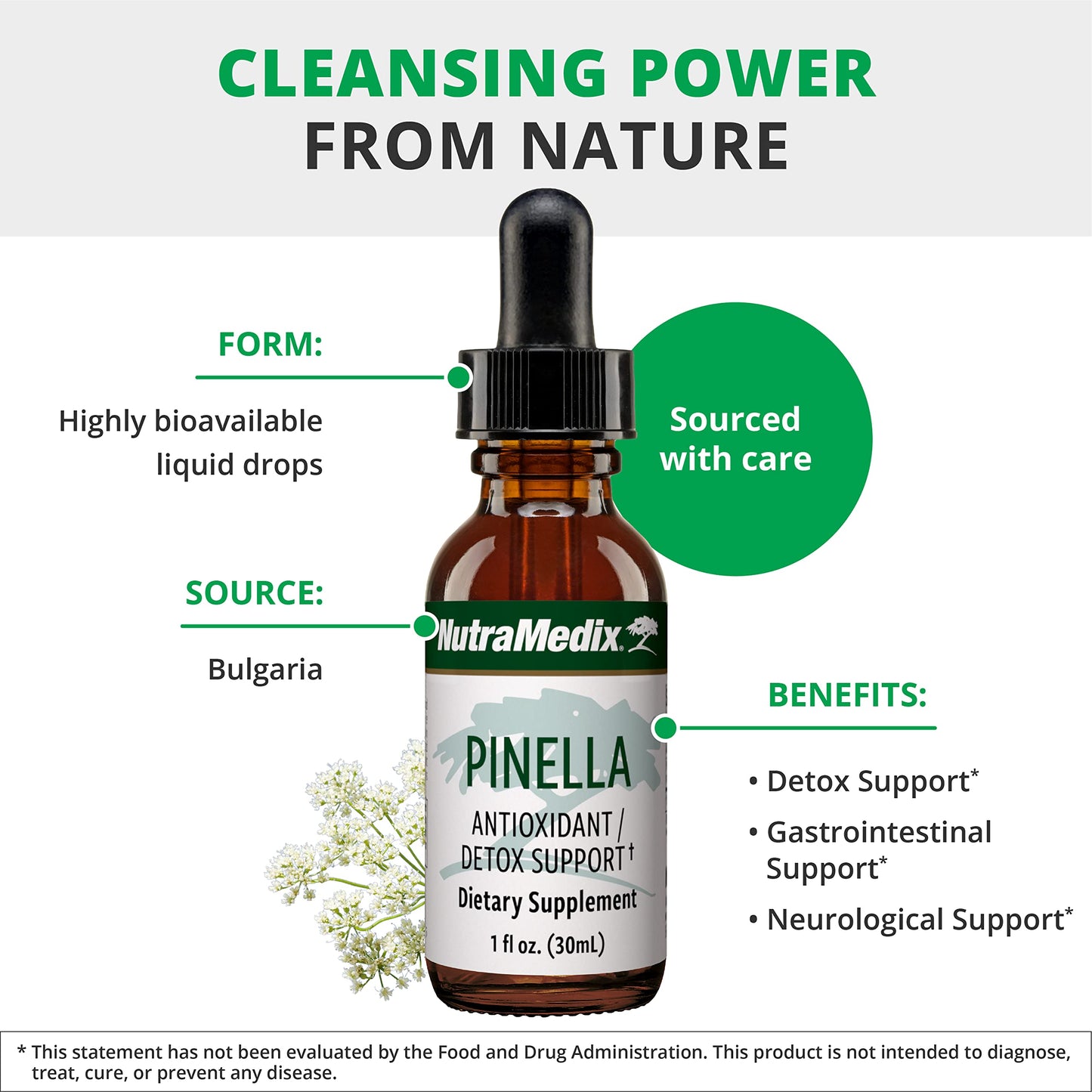 NutraMedix Pinella – Liquid Anise Drops for Detox, Focus & Brain Health (1 oz / 30 ml)
