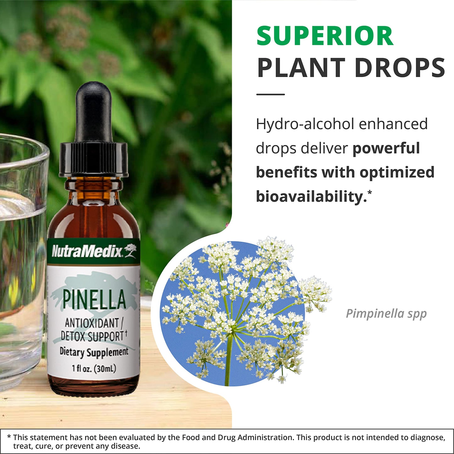 NutraMedix Pinella – Liquid Anise Drops for Detox, Focus & Brain Health (1 oz / 30 ml)