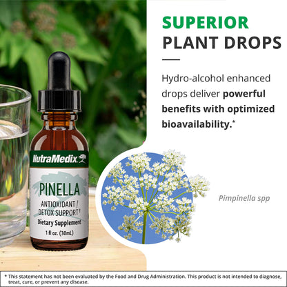 NutraMedix Pinella – Liquid Anise Drops for Detox, Focus & Brain Health (1 oz / 30 ml)