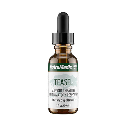 NutraMedix Teasel Root Wellness Drops – Fuller’s Teasel Extract | Antioxidant Support (1oz/30ml)