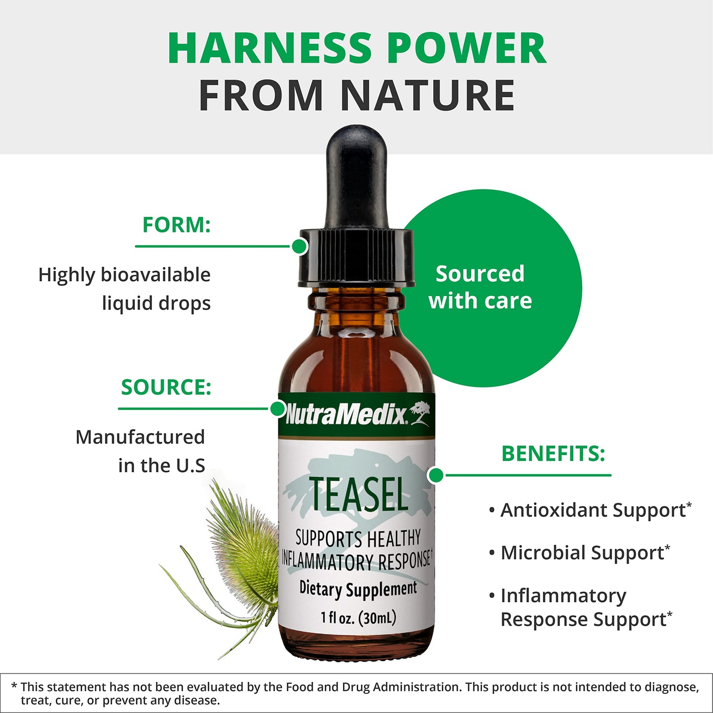 NutraMedix Teasel Root Wellness Drops – Fuller’s Teasel Extract | Antioxidant Support (1oz/30ml)