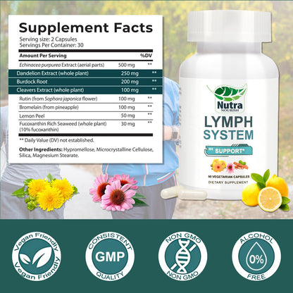 NutraNourish Lymphatic Drainage Supplement with Dandelion, Echinacea & Bromelain Extracts - Lymph System Support for Men and Women - 60 Count Bottles