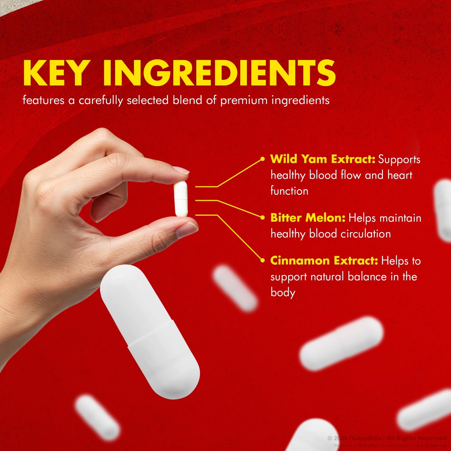 NutraRize Glyco Renew Pills – All Natural Blood Support Formula | Maximum Strength 60 Capsules