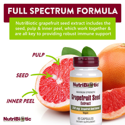 NutriBiotic Grapefruit Seed Extract Capsules 250 mg, 60 Count – Maximum Strength with Bioflavonoids
