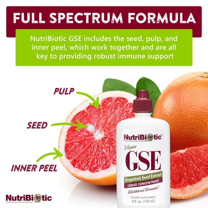 NutriBiotic GSE 4 Oz Liquid | Grapefruit Seed Extract Premium Concentrate with Bioflavonoids