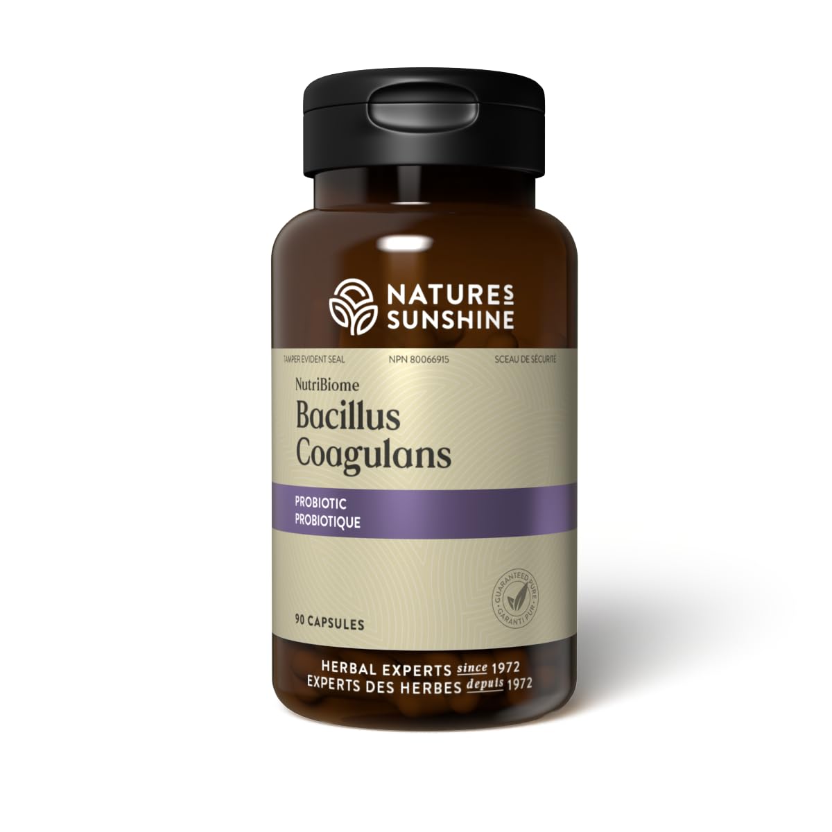Nature's Sunshine Nutribiome Bacillus Coagulans Probiotics - 90 Capsules, 3 Billion CFU for Digestive Support