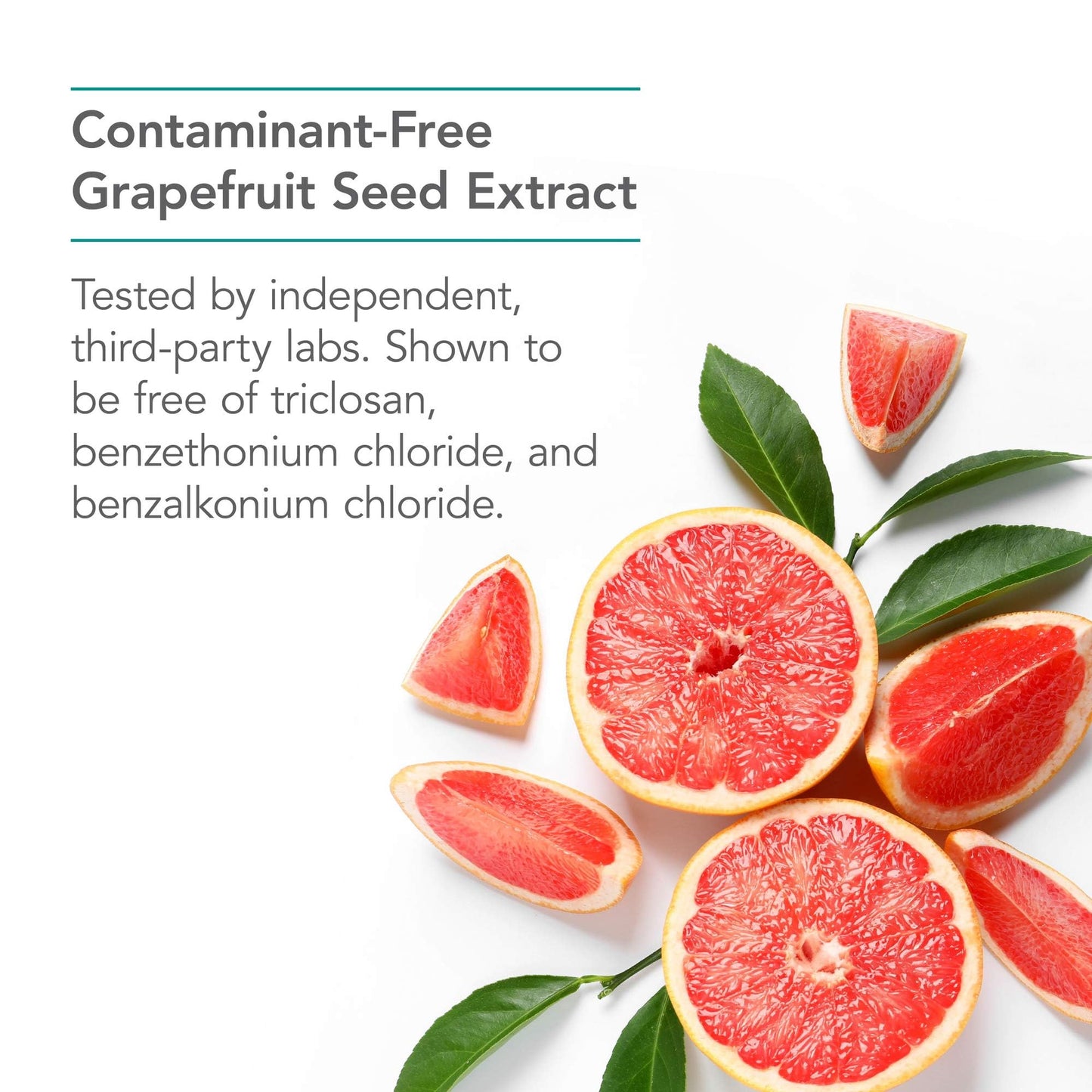Nutricology Citrus Seed Extract Supplement - Grapefruit Seed Extract 500mg, 120 Vegetarian Capsules