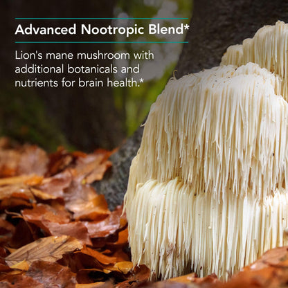 Nutricology Cognibrain – Memory & Focus Support with Lion's Mane, 90 Count