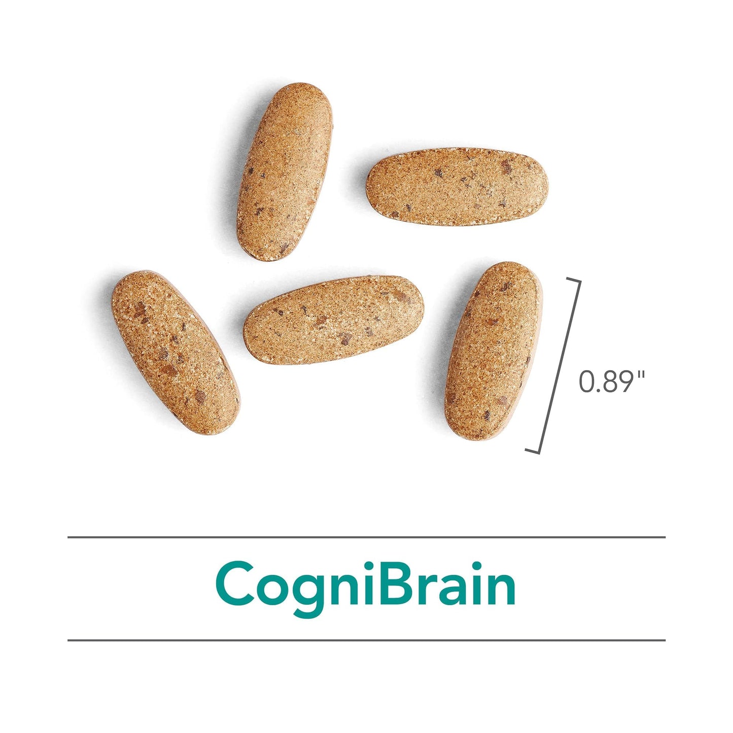 Nutricology Cognibrain – Memory & Focus Support with Lion's Mane, 90 Count