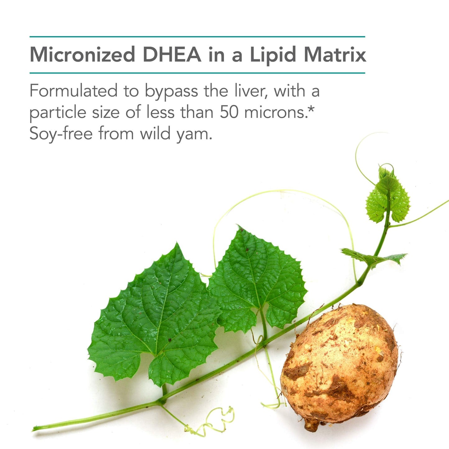 Nutricology DHEA 25mg - Micronized Lipid Matrix, Soy-Free, 60 Count