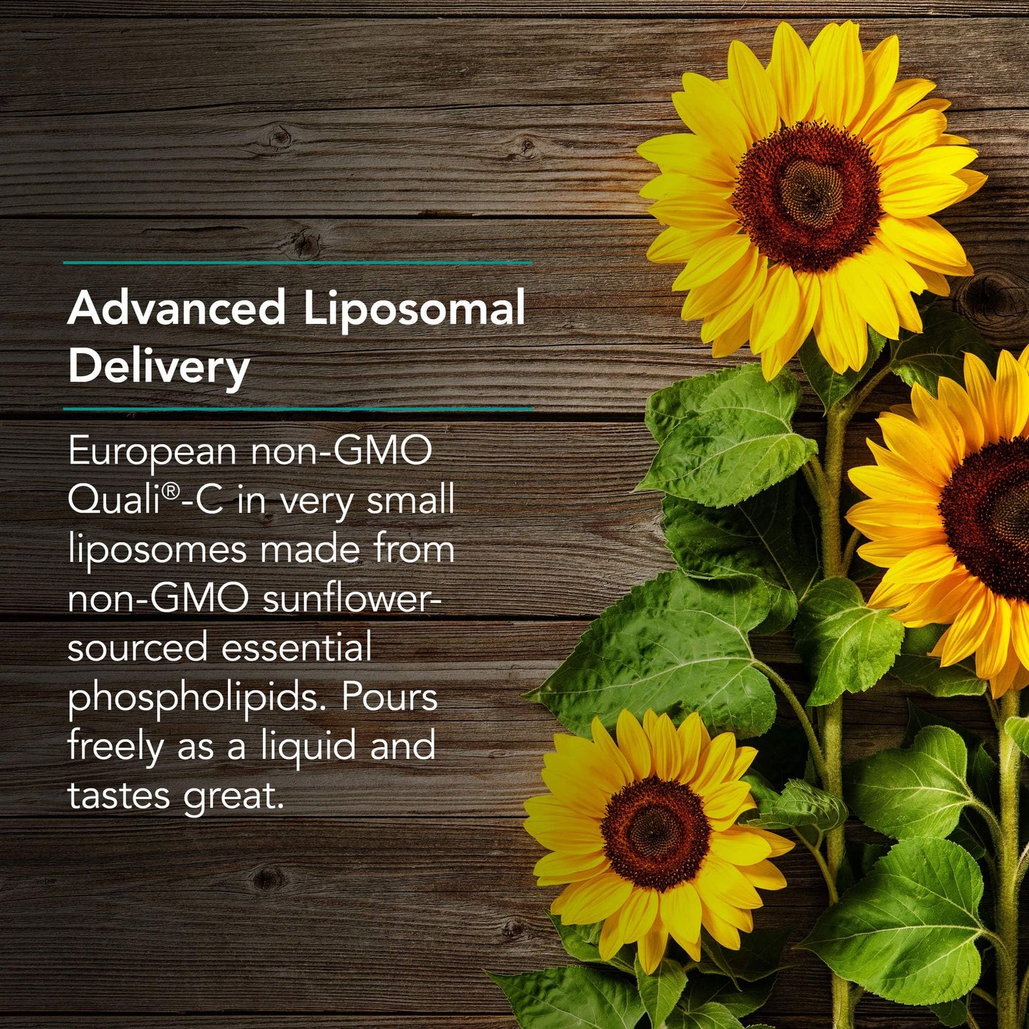 Nutricology Micro Liposomal C 1000mg – Liquid Vitamin C with Sunflower Phospholipids
