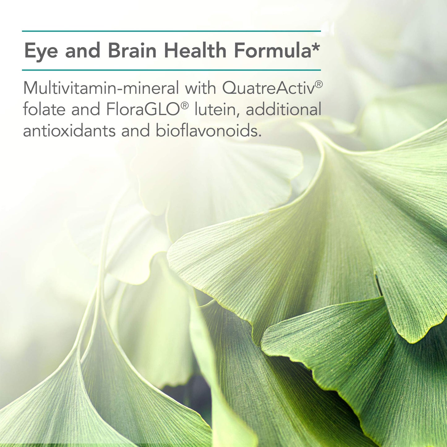 Nutricology Ocudyne II Vegicaps 200-Count | Herbal Multivitamin & Multimineral Formula