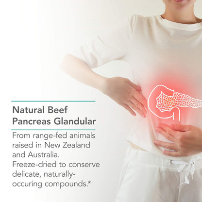 Nutricology Pancreas Pork 425mg Supplement - Pancreas Natural Glandular, Pancreatic Enzymes, Amylase, Protease, Lipase, Hypoallergenic - 60 Count