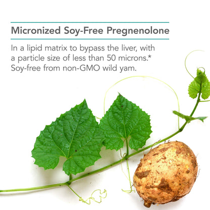 Nutricology Pregnenolone 50mg - 60 Count | Plant-Sourced, Non-GMO Wild Yam
