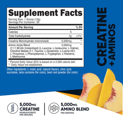 Nutricost Creatine + Aminos 30 Servings Peach Mango – 5,000mg Creatine Monohydrate + 5,000mg BCAA per Serving