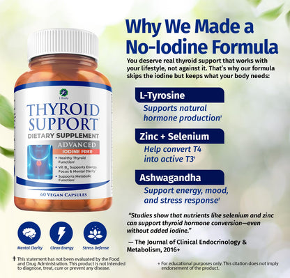 1 Body Thyroid Support Iodine-Free Supplement (60 Count) - Pack of 1