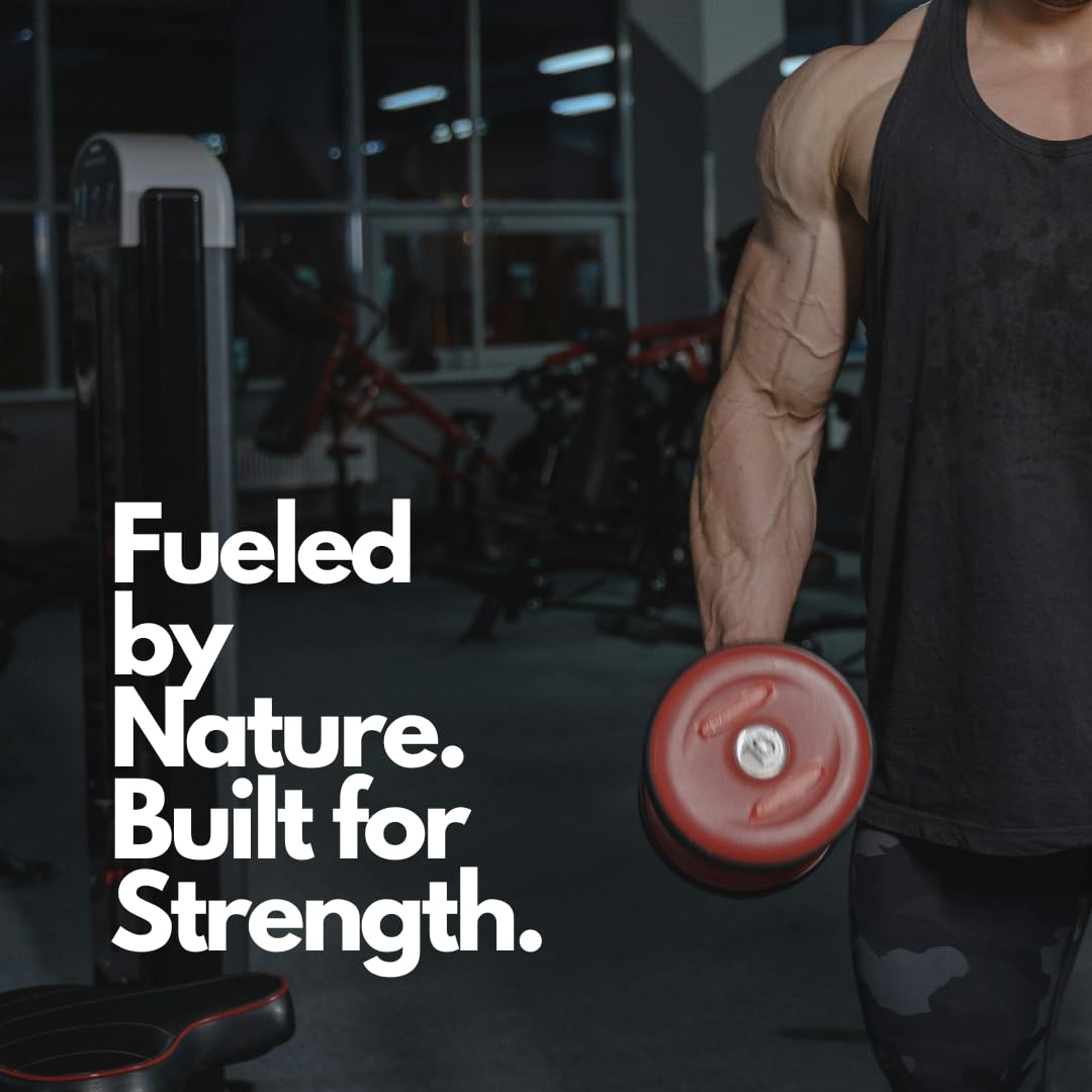 Nutriissa Ecdysterone 500 mg – Muscle Growth & Performance | EPEB Certified Purity & Potency | 90 Vegan Capsules