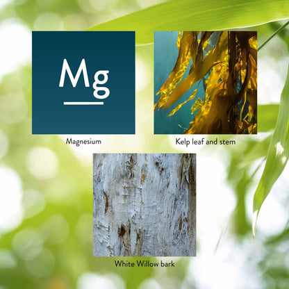 Nature's Sunshine Magnesium 250 mg - 180 Tablets | Supports Nervous & Structural Systems