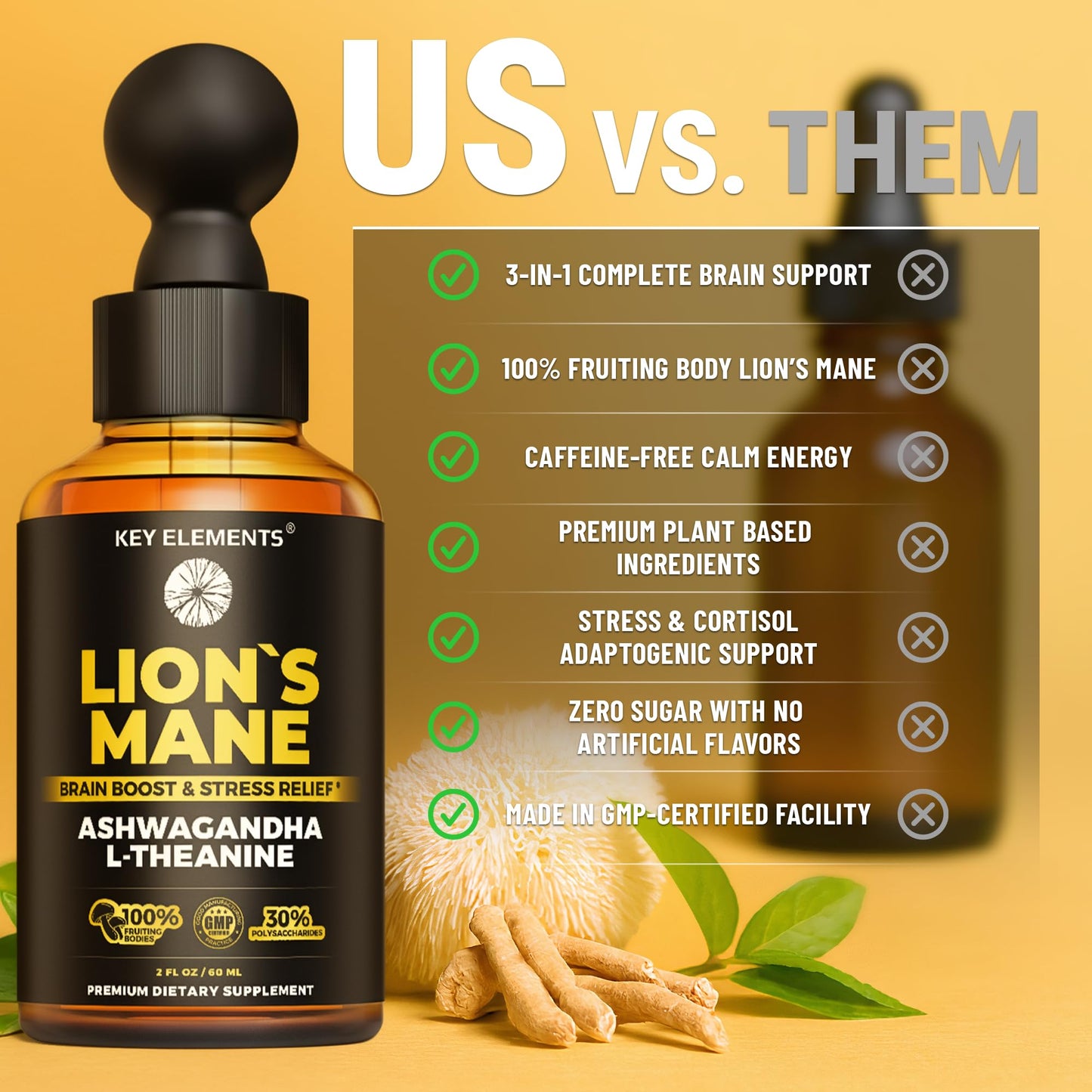 KEY ELEMENTS Lions Mane Extract for Memory, Focus & Brain Health – Tincture with Ashwagandha & L-Theanine