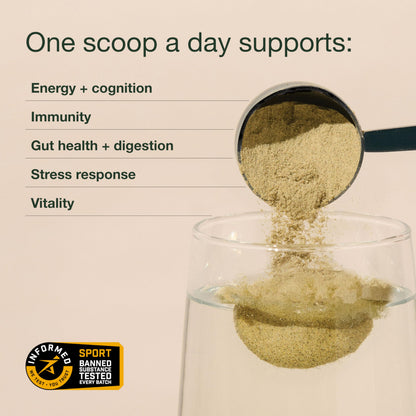 Nuzest Good Green Vitality Greens Powder – Vegan Multivitamin (10g) Pack of 5