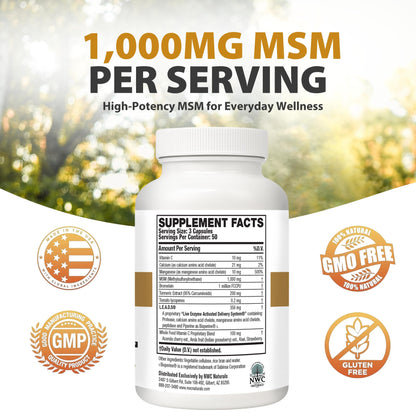 NWC Naturals MSM Gold – Systemic Enzyme + Turmeric, Lycopene & BioPerine for Joint & Muscle Support
