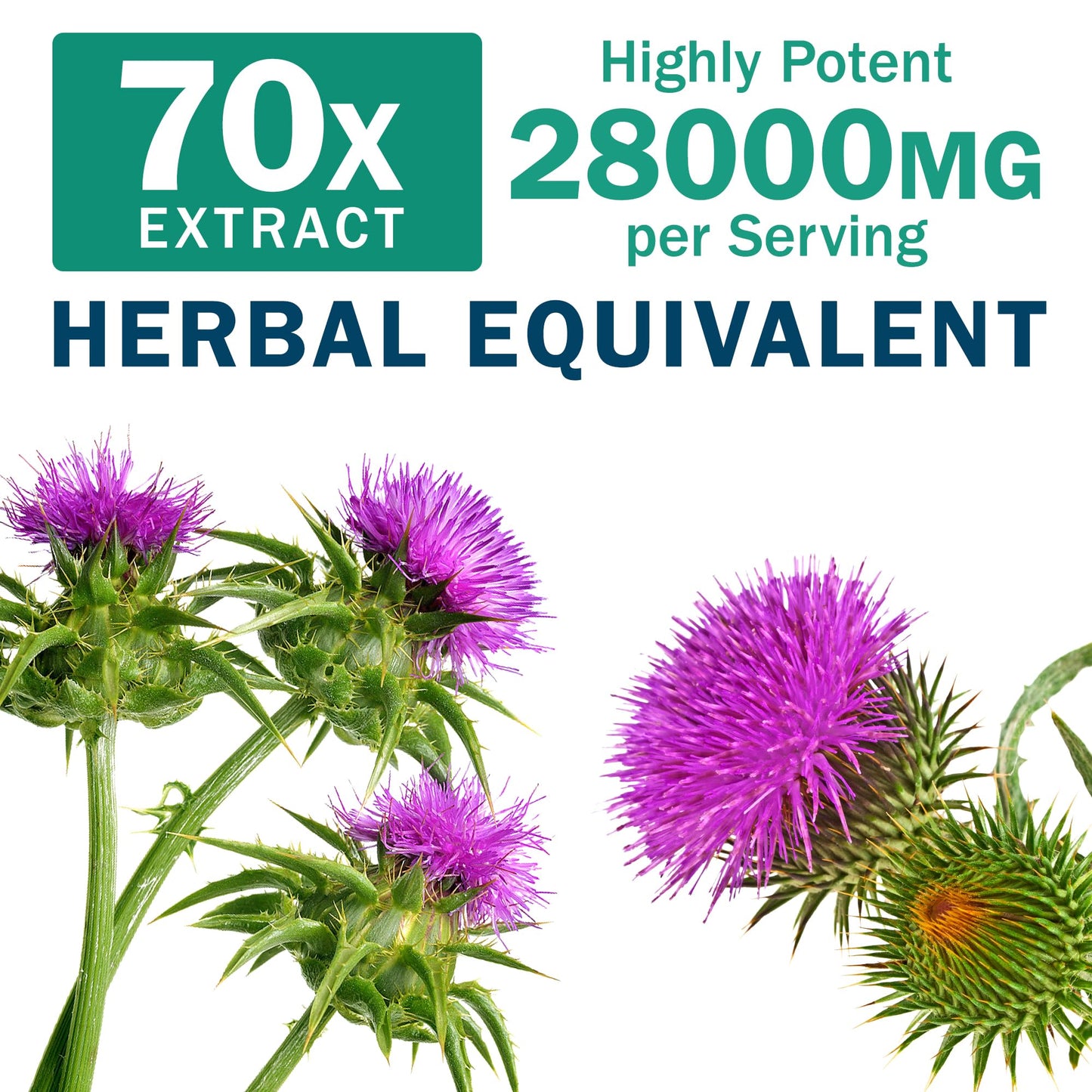 NYO3 Milk Thistle 200mg Liver Detox - Dandelion Root & Artichoke Extract | 60 Capsules