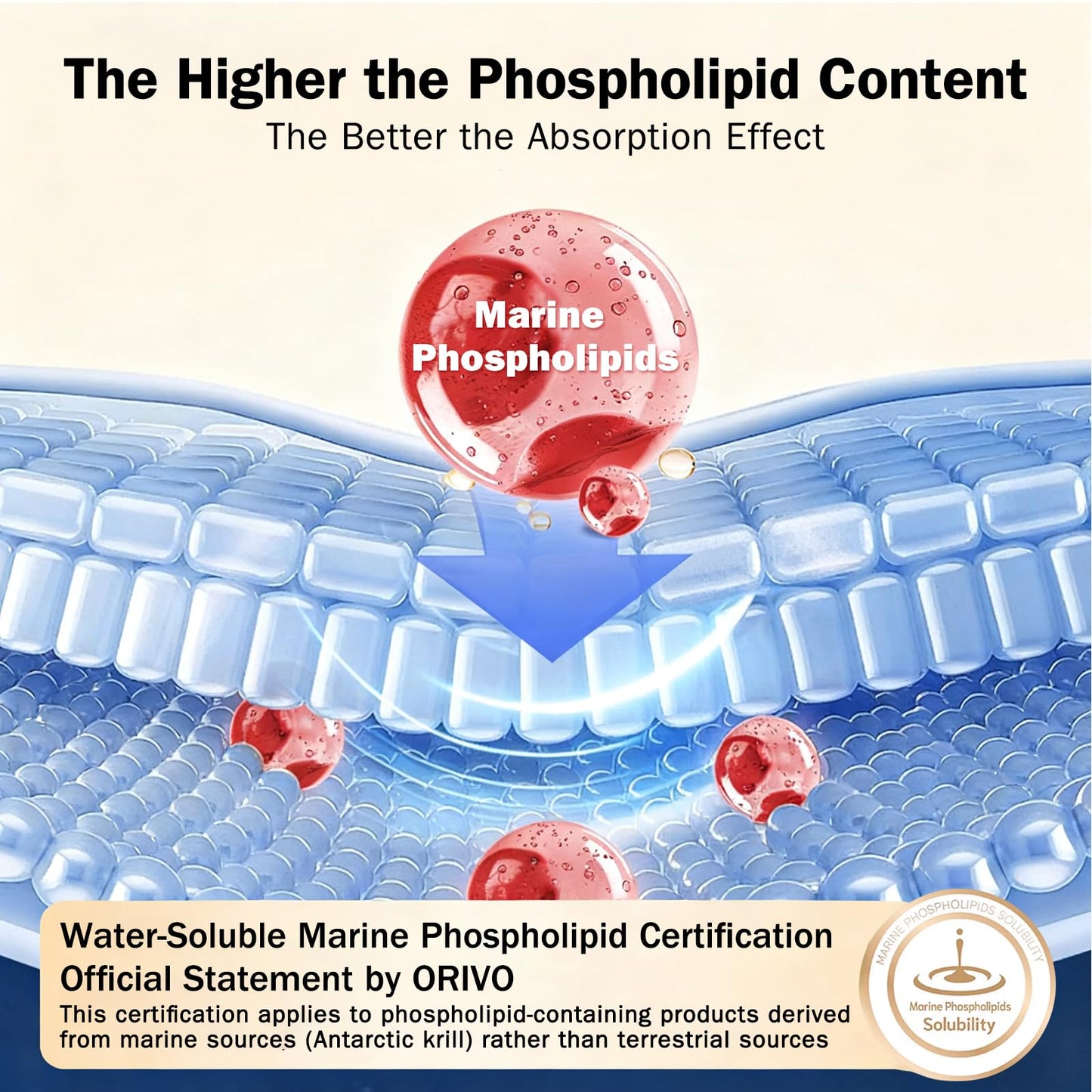 NYO3 Krill Oil 1000mg – EPA/DHA 270mg per Softgel | Antarctic Krill Oil with Astaxanthin