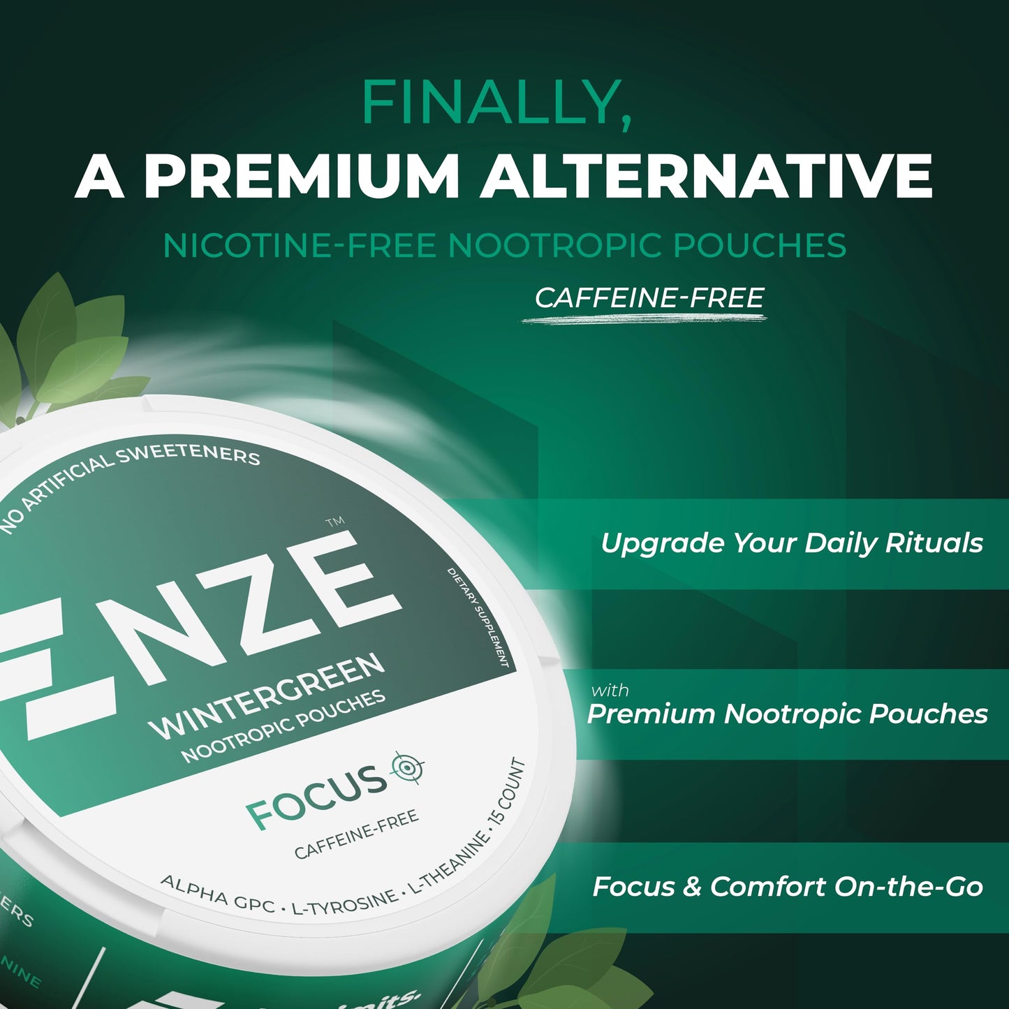 NZE Caffeine Free Nootropic Pouches (Wintergreen) – 15 Pouches Per Can – 5 Pack