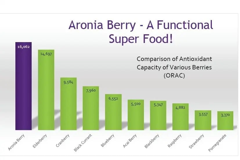 GUT BAR Aronia Powder | Aronia Berry Powder | 52 Servings | Digestive Support & Gut Health BritishVita | Premium UK Vitamins & Wellness Supplements