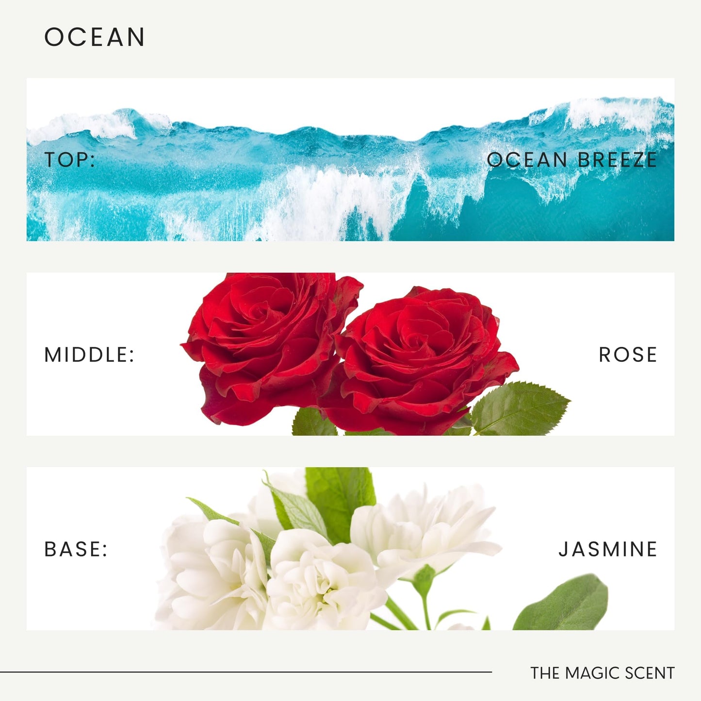 The Magic Scent Ocean Diffuser Oil – Luxury Bali-Inspired Hotel & Home Scents (16.9 fl oz / 500 mL)