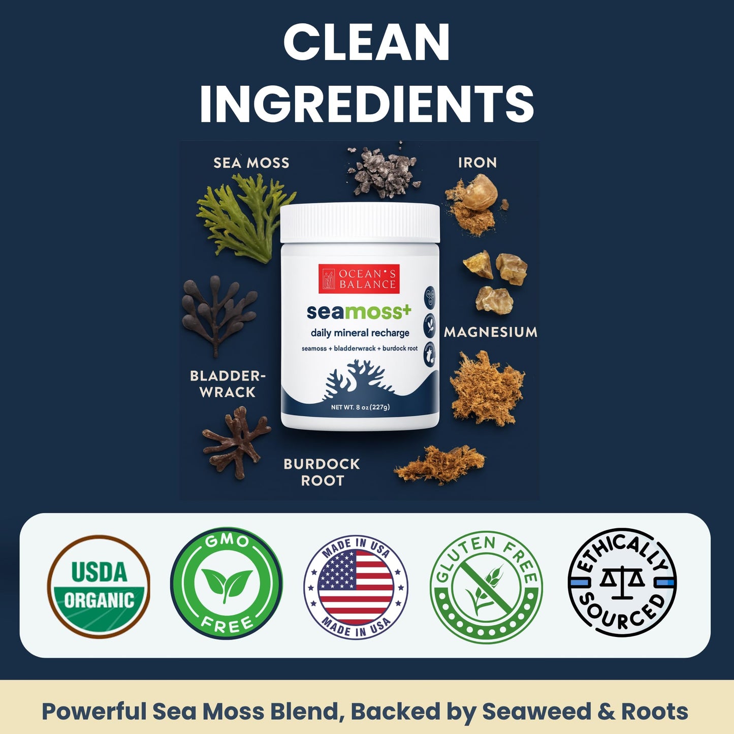 Ocean's Balance Seacleanse+ Daily Detox Powder – Gut Health & Immune Support | 8oz